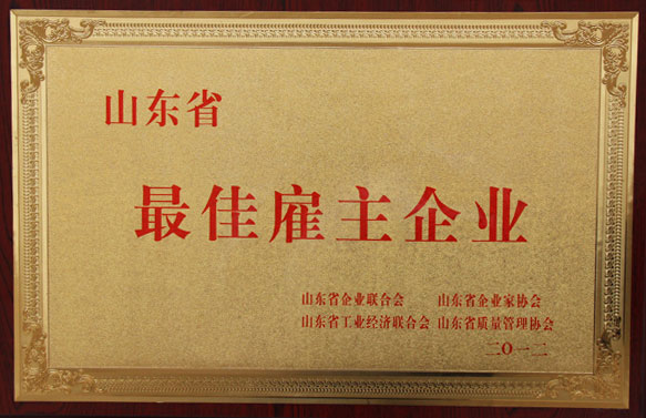 乐盈获得“山东省最佳雇主企业”称号